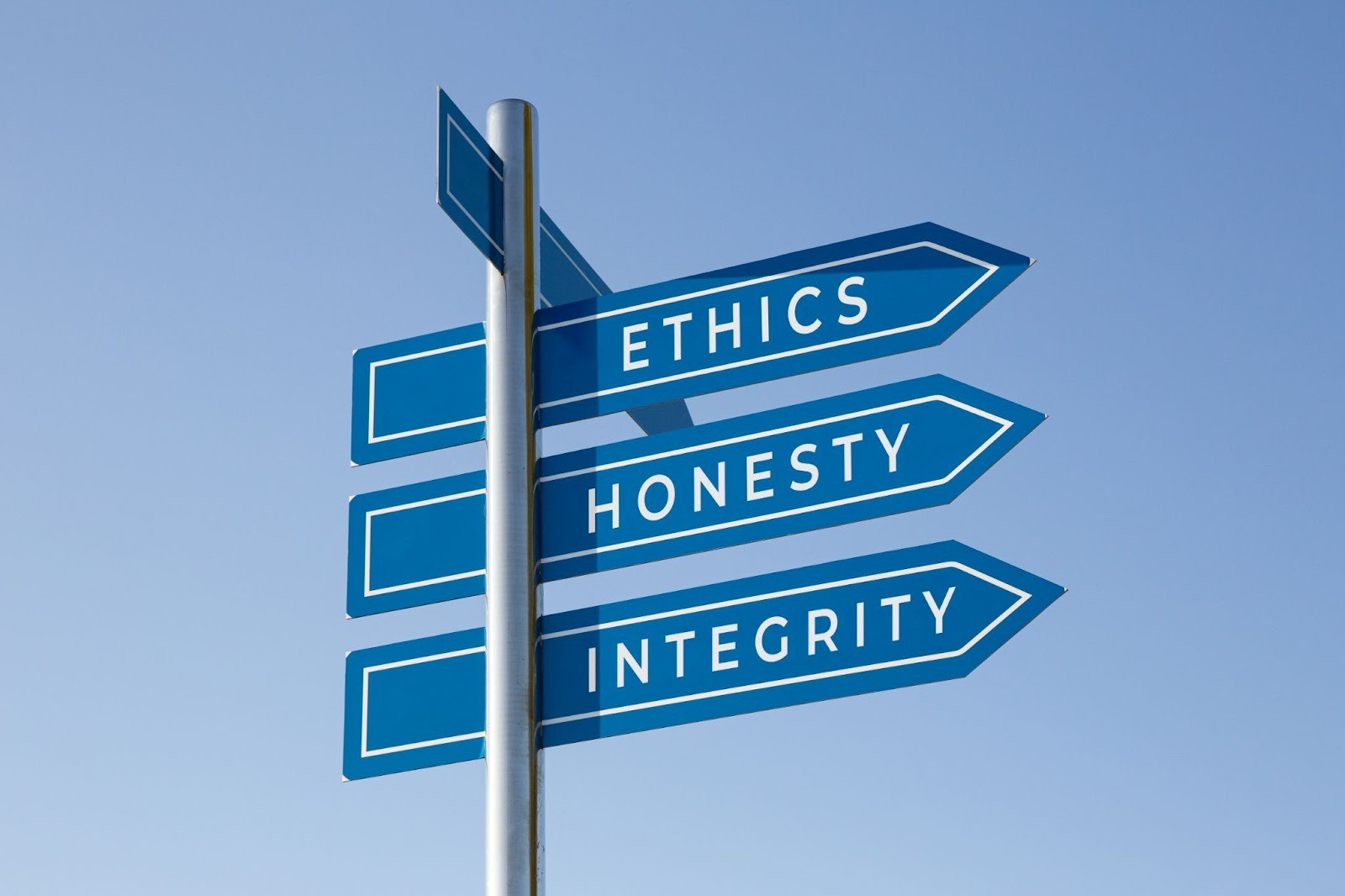 Plagiarism & Bar Applications: Why Honesty Alone Isn’t Enough